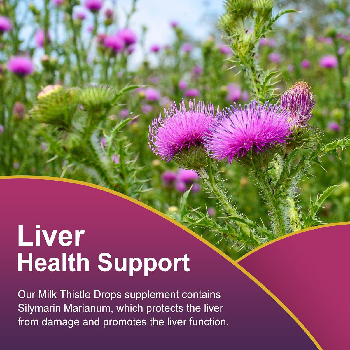 Milk Thistle Drops